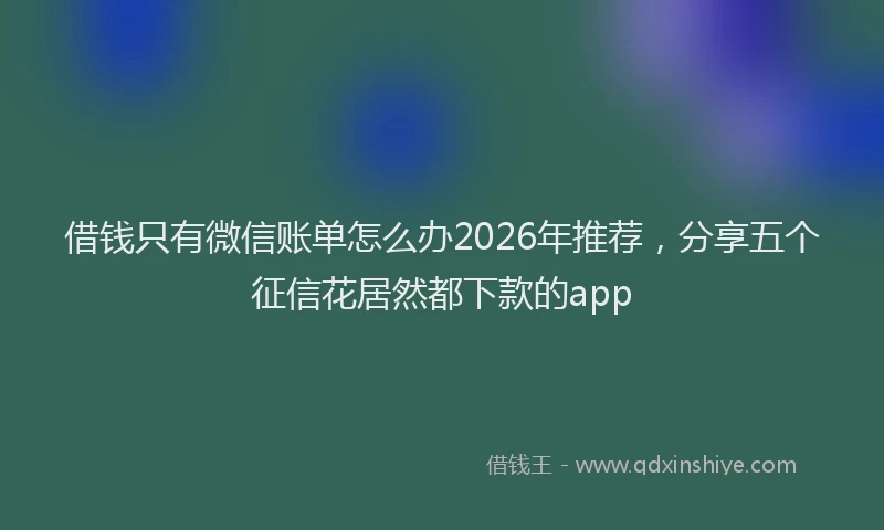 借钱只有微信账单怎么办2026年推荐，分享五个征信花居然都下款的app