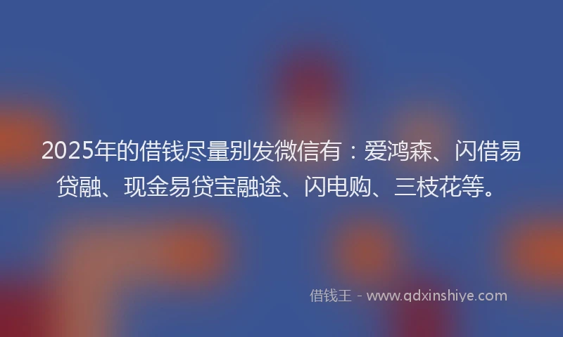 2025年的借钱尽量别发微信有:爱鸿森、闪借易贷融、现金易贷宝融途、闪电购、三枝花等。