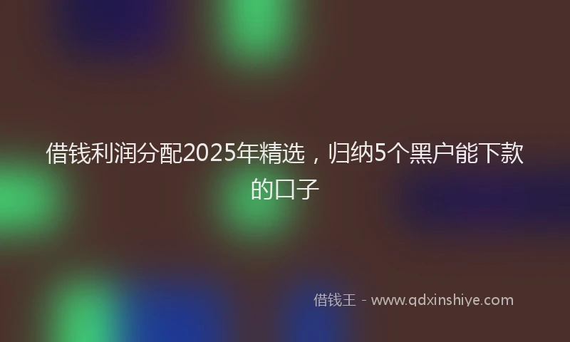 借钱利润分配2025年精选，归纳5个黑户能下款的口子