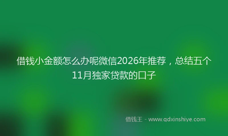 借钱小金额怎么办呢微信2026年推荐,总结五个11月独家贷款的口子
