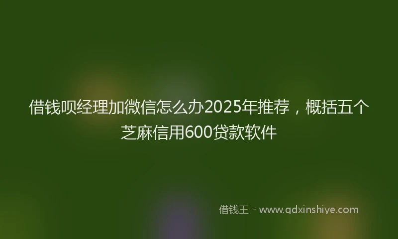 借钱呗经理加微信怎么办2025年推荐，概括五个芝麻信用600贷款软件
