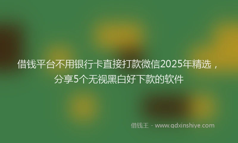 借钱平台不用银行卡直接打款微信2025年精选，分享5个无视黑白好下款的软件