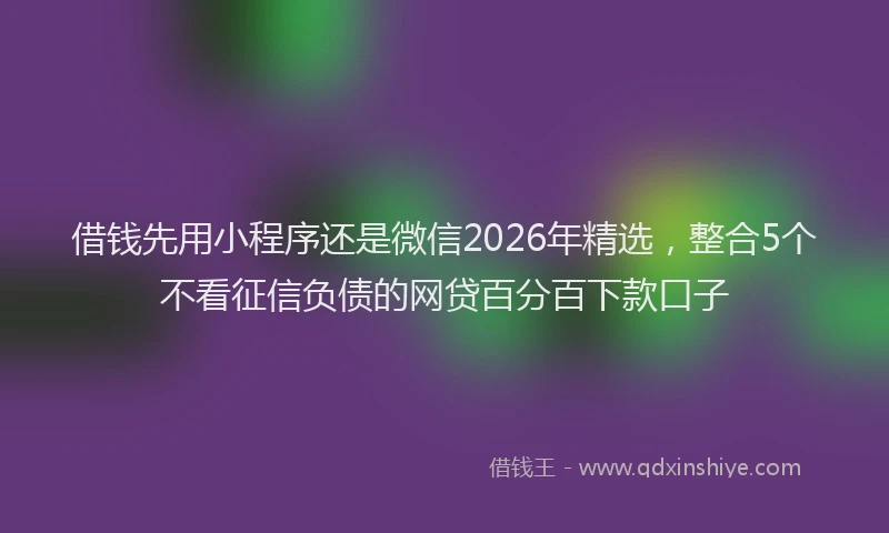 借钱先用小程序还是微信2026年精选，整合5个不看征信负债的网贷百分百下款口子
