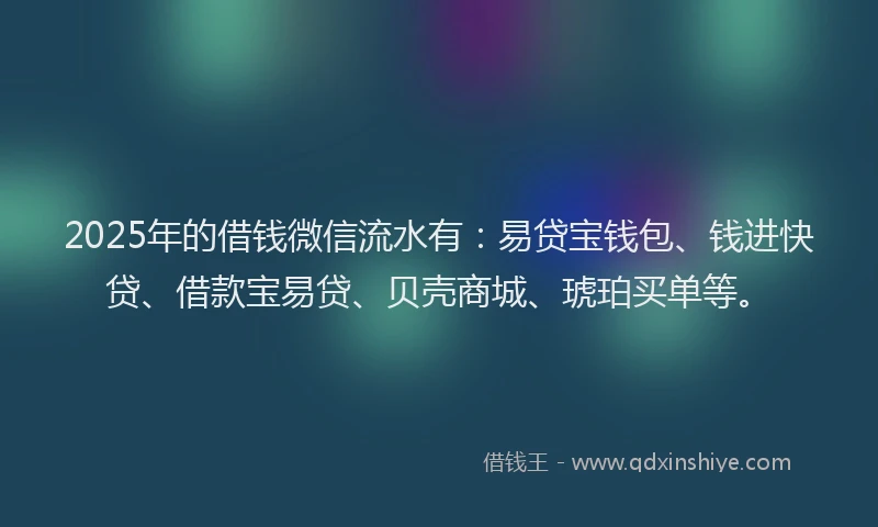 2025年的借钱微信流水有：易贷宝钱包、钱进快贷、借款宝易贷、贝壳商城、琥珀买单等。