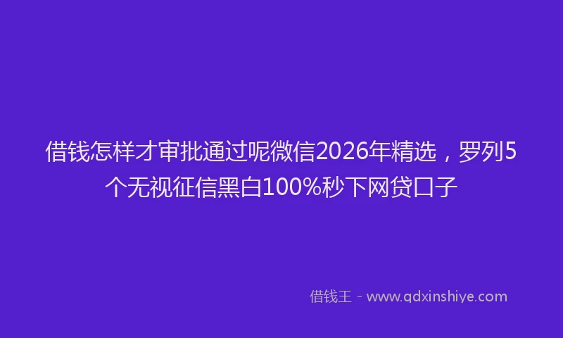 借钱怎样才审批通过呢微信2026年精选,罗列5个无视征信黑白100%秒下网贷口子