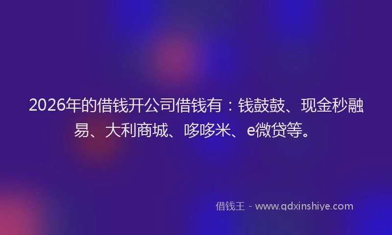 2026年的借钱开公司借钱有：钱鼓鼓、现金秒融易、大利商城、哆哆米、e微贷等。