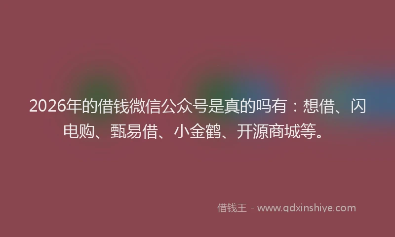 2026年的借钱微信公众号是真的吗有：想借、闪电购、甄易借、小金鹤、开源商城等。