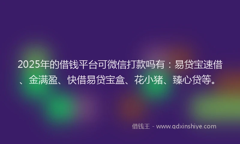 2025年的借钱平台可微信打款吗有:易贷宝速借、金满盈、快借易贷宝盒、花小猪、臻心贷等。