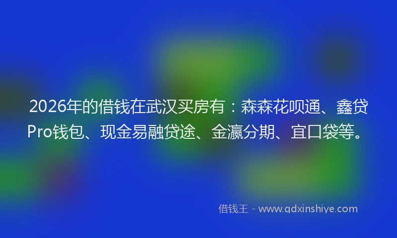 2026年的借钱在武汉买房有：森森花呗通、鑫贷Pro钱包、现金易融贷途、金瀛分期、宜口袋等。