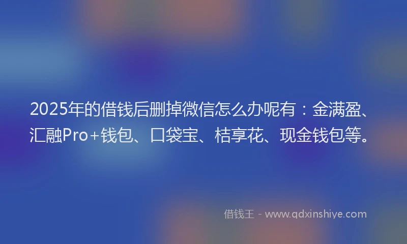 2025年的借钱后删掉微信怎么办呢有：金满盈、汇融Pro+钱包、口袋宝、桔享花、现金钱包等。