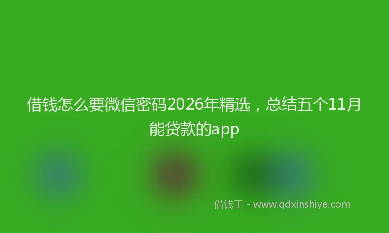 借钱怎么要微信密码2026年精选，总结五个11月能贷款的app