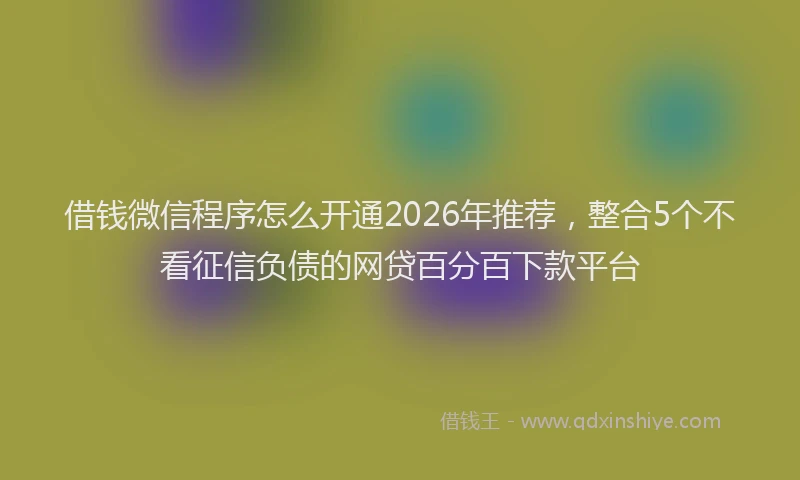 借钱微信程序怎么开通2026年推荐，整合5个不看征信负债的网贷百分百下款平台