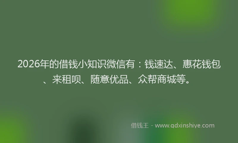 2026年的借钱小知识微信有:钱速达、惠花钱包、来租呗、随意优品、众帮商城等。