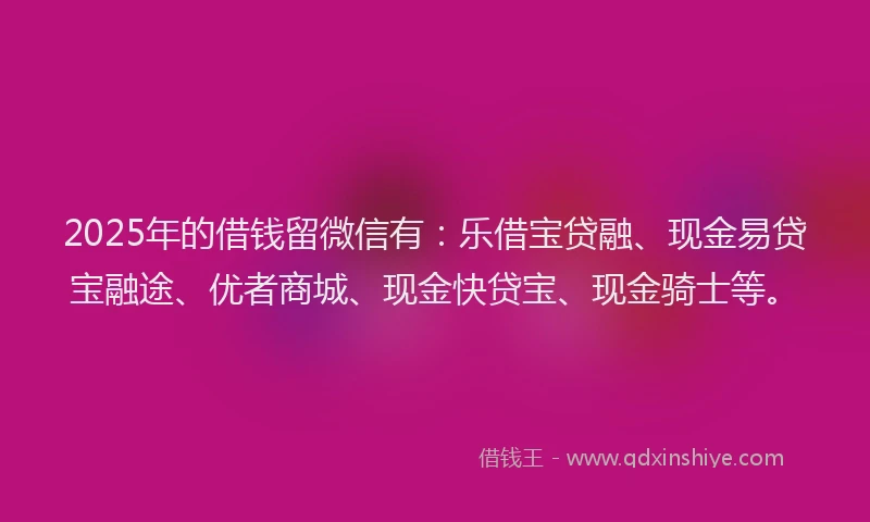 2025年的借钱留微信有：乐借宝贷融、现金易贷宝融途、优者商城、现金快贷宝、现金骑士等。