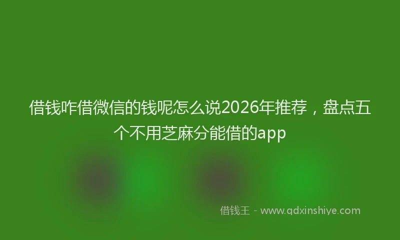 借钱咋借微信的钱呢怎么说2026年推荐，盘点五个不用芝麻分能借的app
