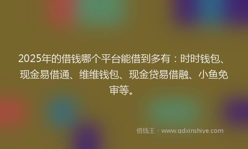 2025年的借钱哪个平台能借到多有:时时钱包、现金易借通、维维钱包、现金贷易借融、小鱼免审等。