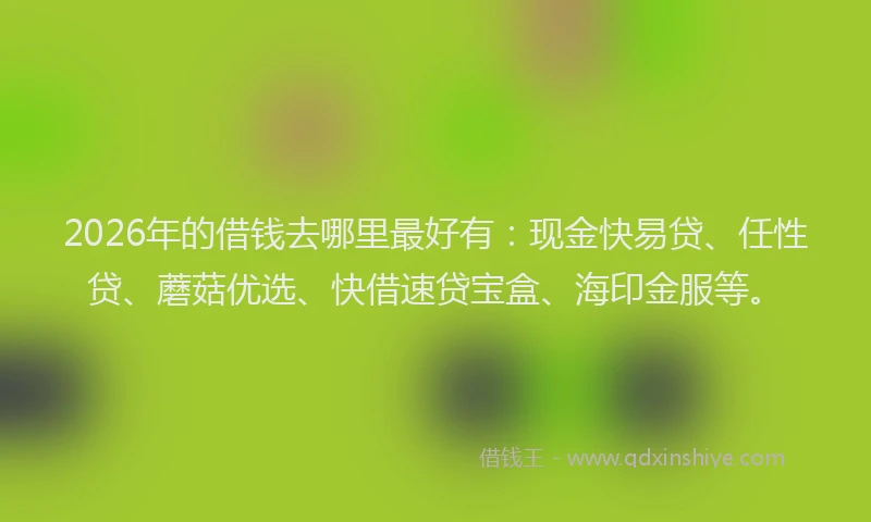 2026年的借钱去哪里最好有：现金快易贷、任性贷、蘑菇优选、快借速贷宝盒、海印金服等。