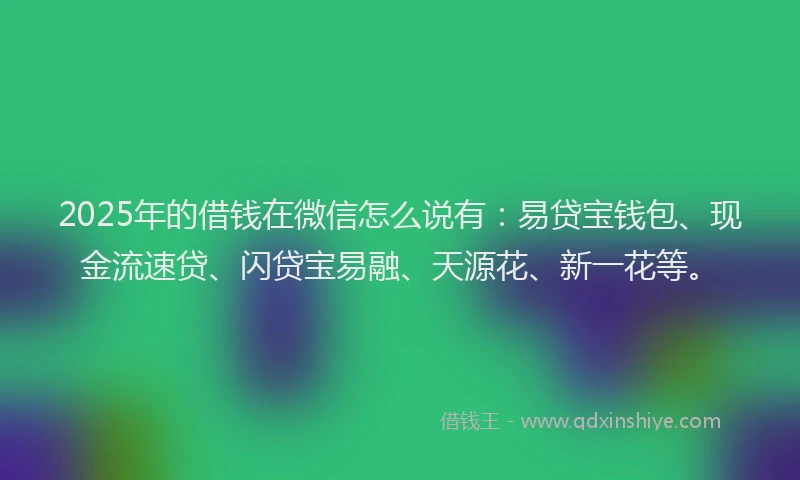 2025年的借钱在微信怎么说有:易贷宝钱包、现金流速贷、闪贷宝易融、天源花、新一花等。