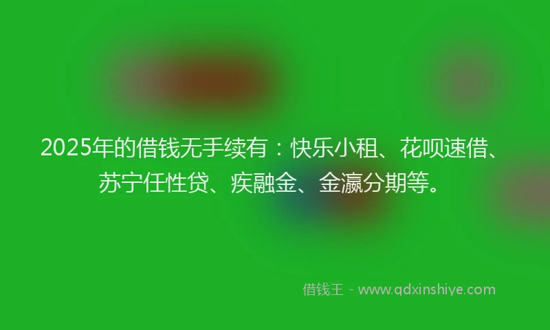 2025年的借钱无手续有：快乐小租、花呗速借、苏宁任性贷、疾融金、金瀛分期等。