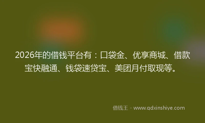 2026年的借钱平台有:口袋金、优享商城、借款宝快融通、钱袋速贷宝、美团月付取现等。