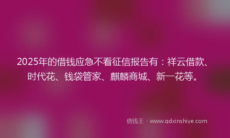 2025年的借钱应急不看征信报告有：祥云借款、时代花、钱袋管家、麒麟商城、新一花等。