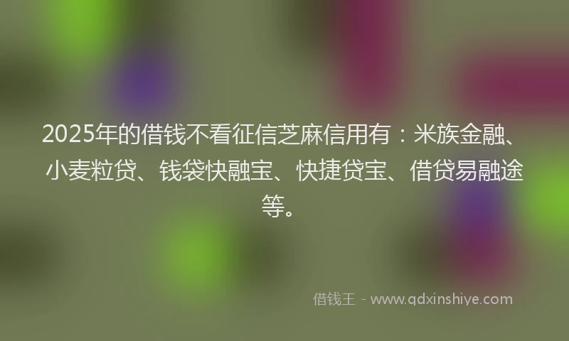 2025年的借钱不看征信芝麻信用有：米族金融、小麦粒贷、钱袋快融宝、快捷贷宝、借贷易融途等。