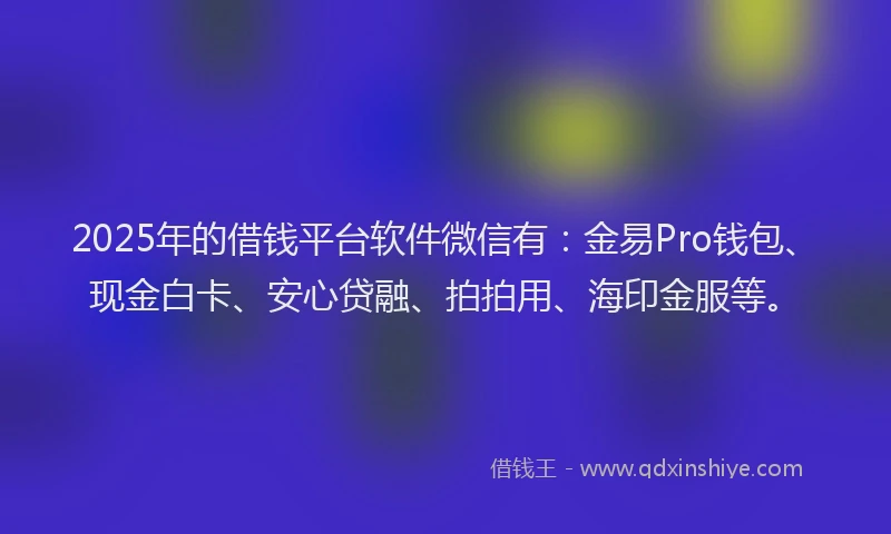 2025年的借钱平台软件微信有：金易Pro钱包、现金白卡、安心贷融、拍拍用、海印金服等。