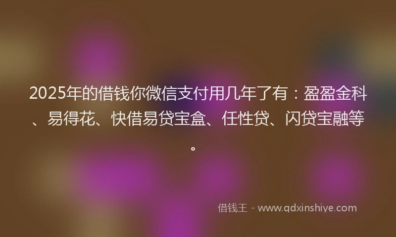 2025年的借钱你微信支付用几年了有:盈盈金科、易得花、快借易贷宝盒、任性贷、闪贷宝融等。