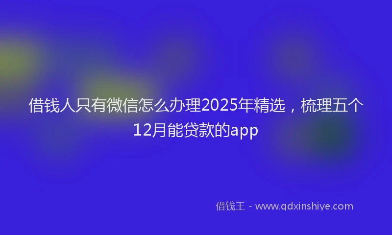 借钱人只有微信怎么办理2025年精选,梳理五个12月能贷款的app