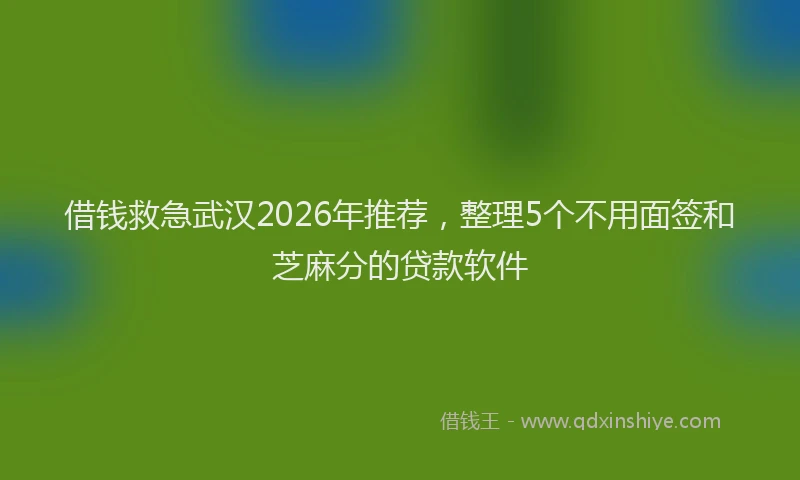 借钱救急武汉2026年推荐，整理5个不用面签和芝麻分的贷款软件