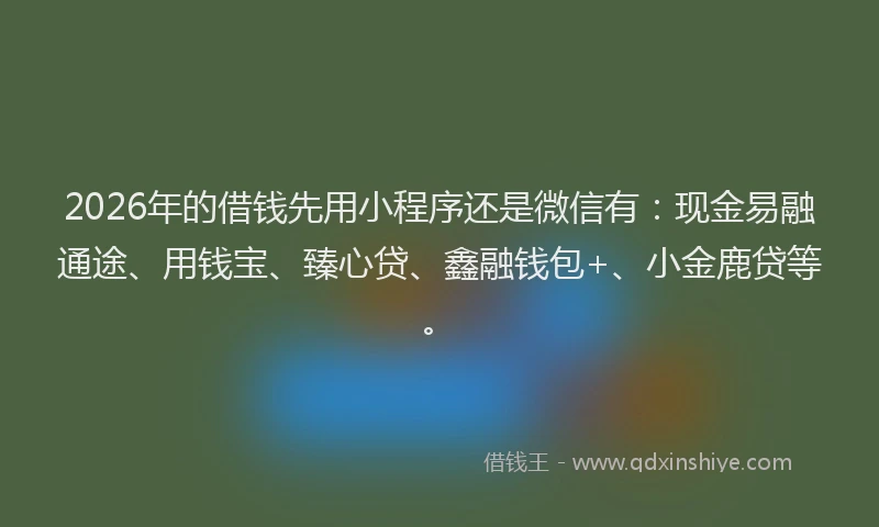 2026年的借钱先用小程序还是微信有：现金易融通途、用钱宝、臻心贷、鑫融钱包+、小金鹿贷等。