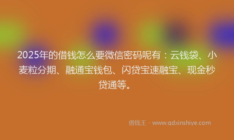 2025年的借钱怎么要微信密码呢有：云钱袋、小麦粒分期、融通宝钱包、闪贷宝速融宝、现金秒贷通等。
