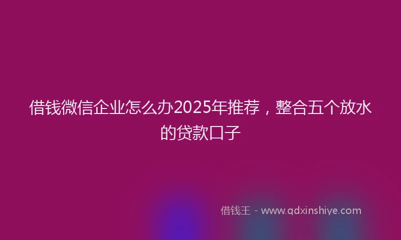 借钱微信企业怎么办2025年推荐,整合五个放水的贷款口子