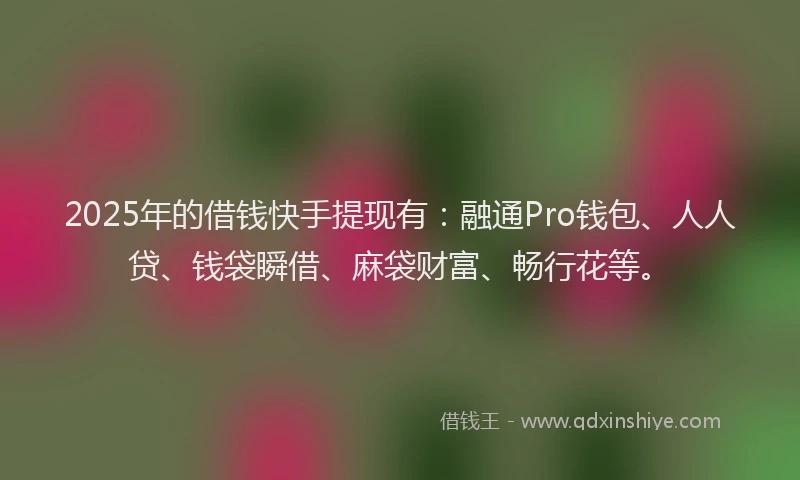 2025年的借钱快手提现有:融通Pro钱包、人人贷、钱袋瞬借、麻袋财富、畅行花等。