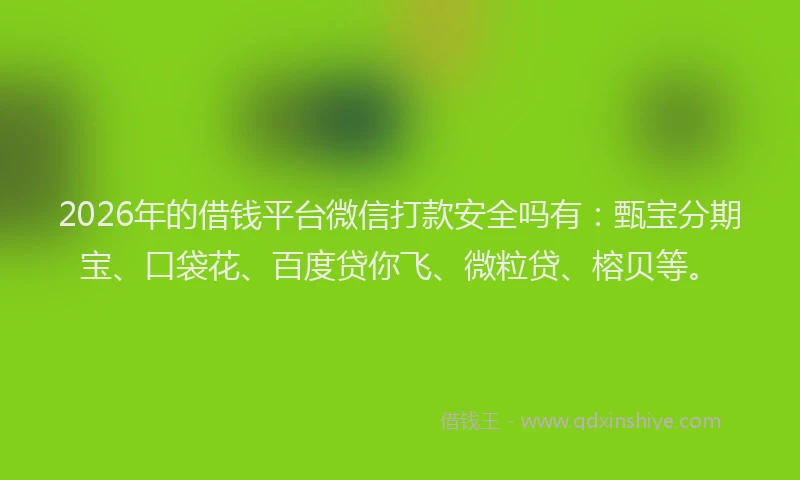 2026年的借钱平台微信打款安全吗有：甄宝分期宝、口袋花、百度贷你飞、微粒贷、榕贝等。