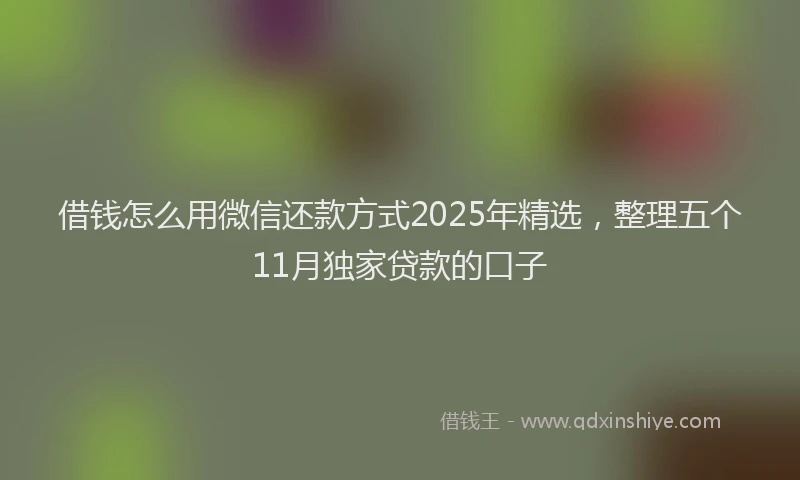 借钱怎么用微信还款方式2025年精选，整理五个11月独家贷款的口子