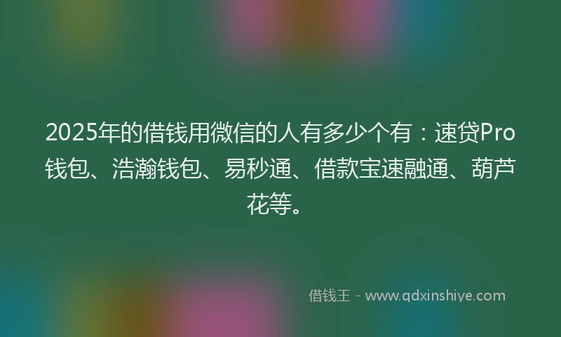 2025年的借钱用微信的人有多少个有：速贷Pro钱包、浩瀚钱包、易秒通、借款宝速融通、葫芦花等。
