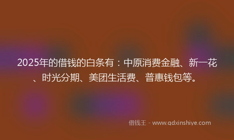 2025年的借钱的白条有：中原消费金融、新一花、时光分期、美团生活费、普惠钱包等。
