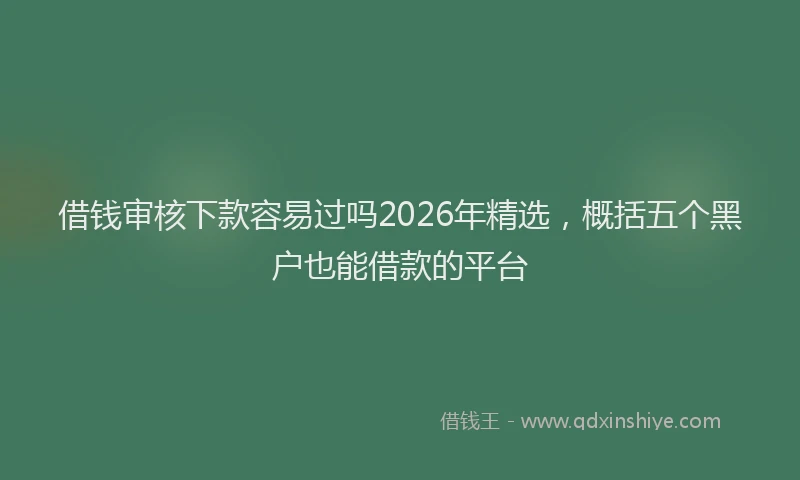 借钱审核下款容易过吗2026年精选，概括五个黑户也能借款的平台
