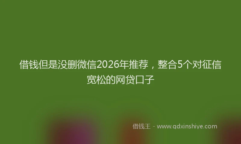 借钱但是没删微信2026年推荐，整合5个对征信宽松的网贷口子