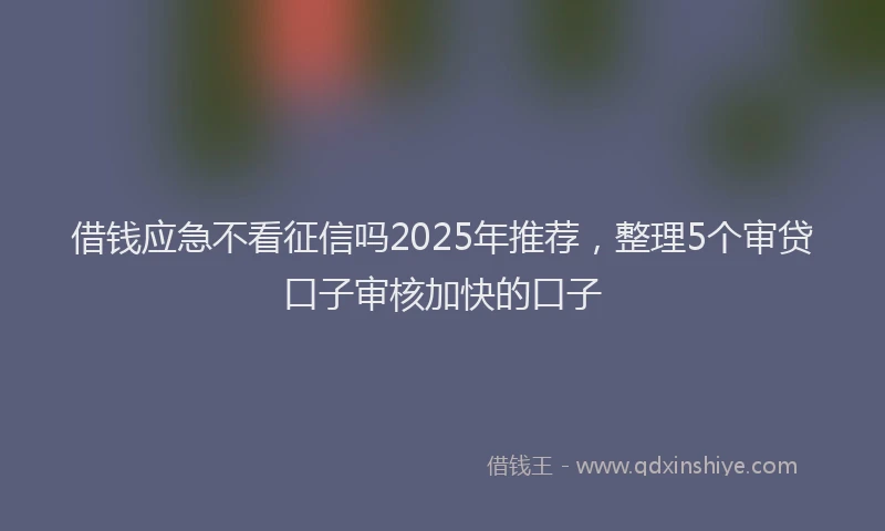 借钱应急不看征信吗2025年推荐，整理5个审贷口子审核加快的口子