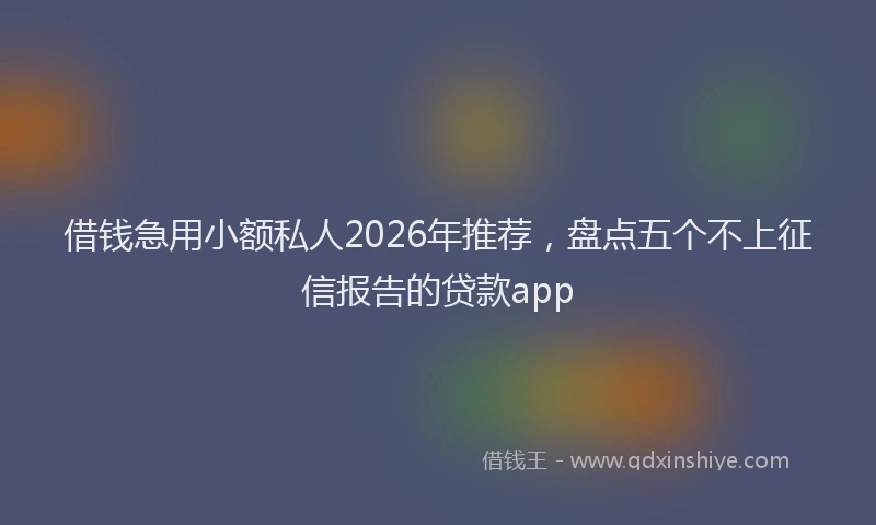 借钱急用小额私人2026年推荐，盘点五个不上征信报告的贷款app