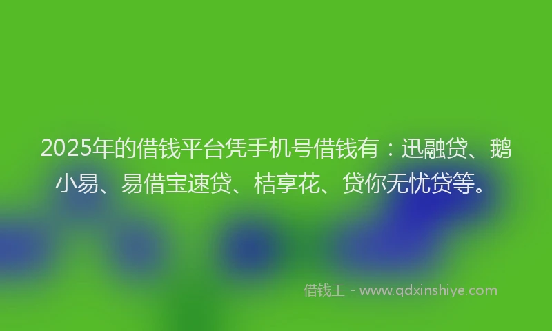 2025年的借钱平台凭手机号借钱有:迅融贷、鹅小易、易借宝速贷、桔享花、贷你无忧贷等。