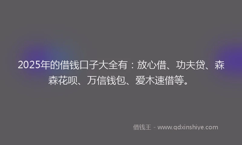 2025年的借钱口子大全有:放心借、功夫贷、森森花呗、万信钱包、爱木速借等。