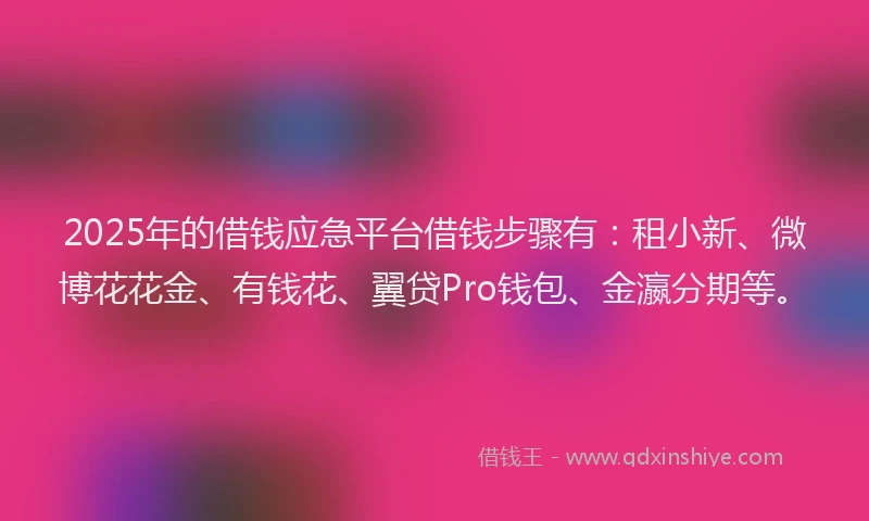 2025年的借钱应急平台借钱步骤有：租小新、微博花花金、有钱花、翼贷Pro钱包、金瀛分期等。