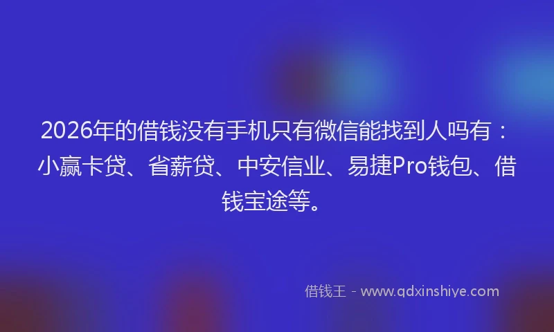 2026年的借钱没有手机只有微信能找到人吗有：小赢卡贷、省薪贷、中安信业、易捷Pro钱包、借钱宝途等。