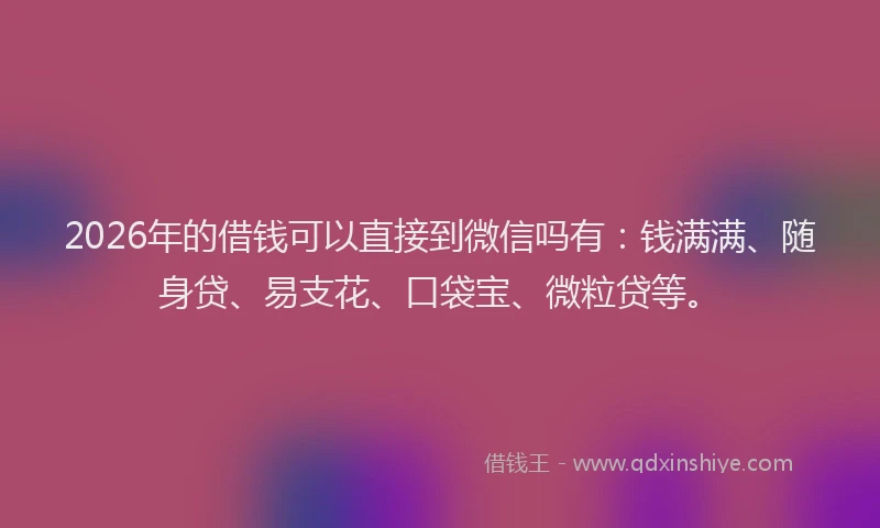 2026年的借钱可以直接到微信吗有：钱满满、随身贷、易支花、口袋宝、微粒贷等。