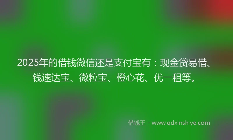 2025年的借钱微信还是支付宝有:现金贷易借、钱速达宝、微粒宝、橙心花、优一租等。