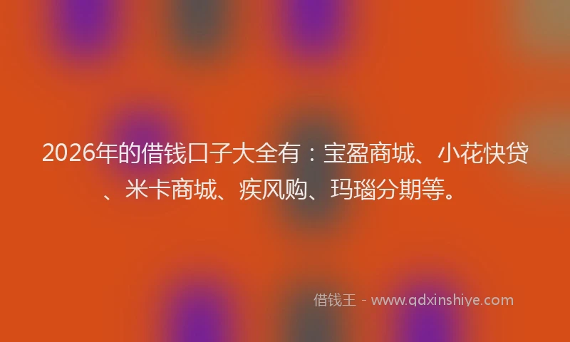 2026年的借钱口子大全有:宝盈商城、小花快贷、米卡商城、疾风购、玛瑙分期等。