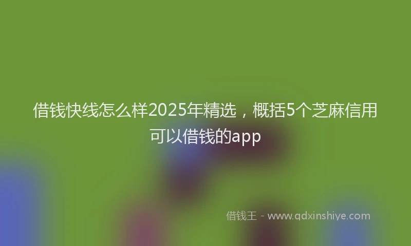 借钱快线怎么样2025年精选，概括5个芝麻信用可以借钱的app